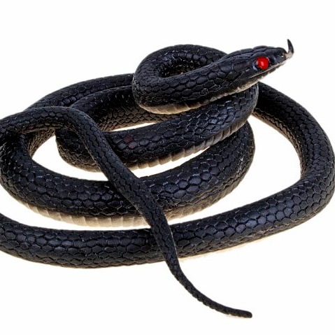 картинка Змея резиновая, 100 см от магазина Смехторг