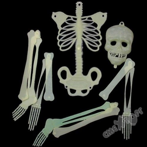 картинка Скелет средний, светящийся в темноте от магазина Смехторг