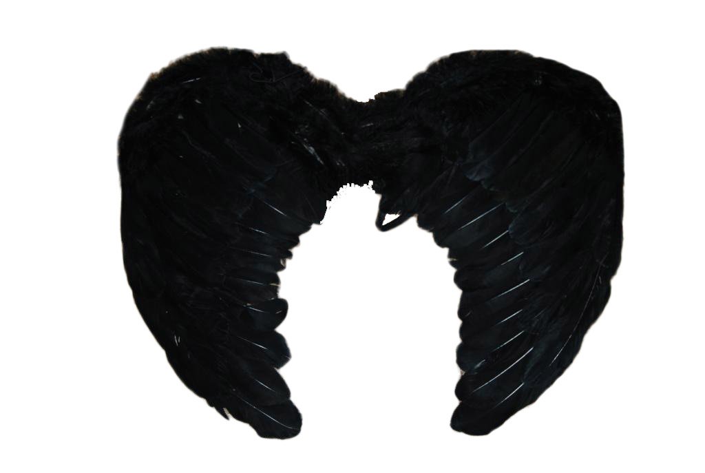 картинка Крылья перьевые средние, Черные от магазина Смехторг